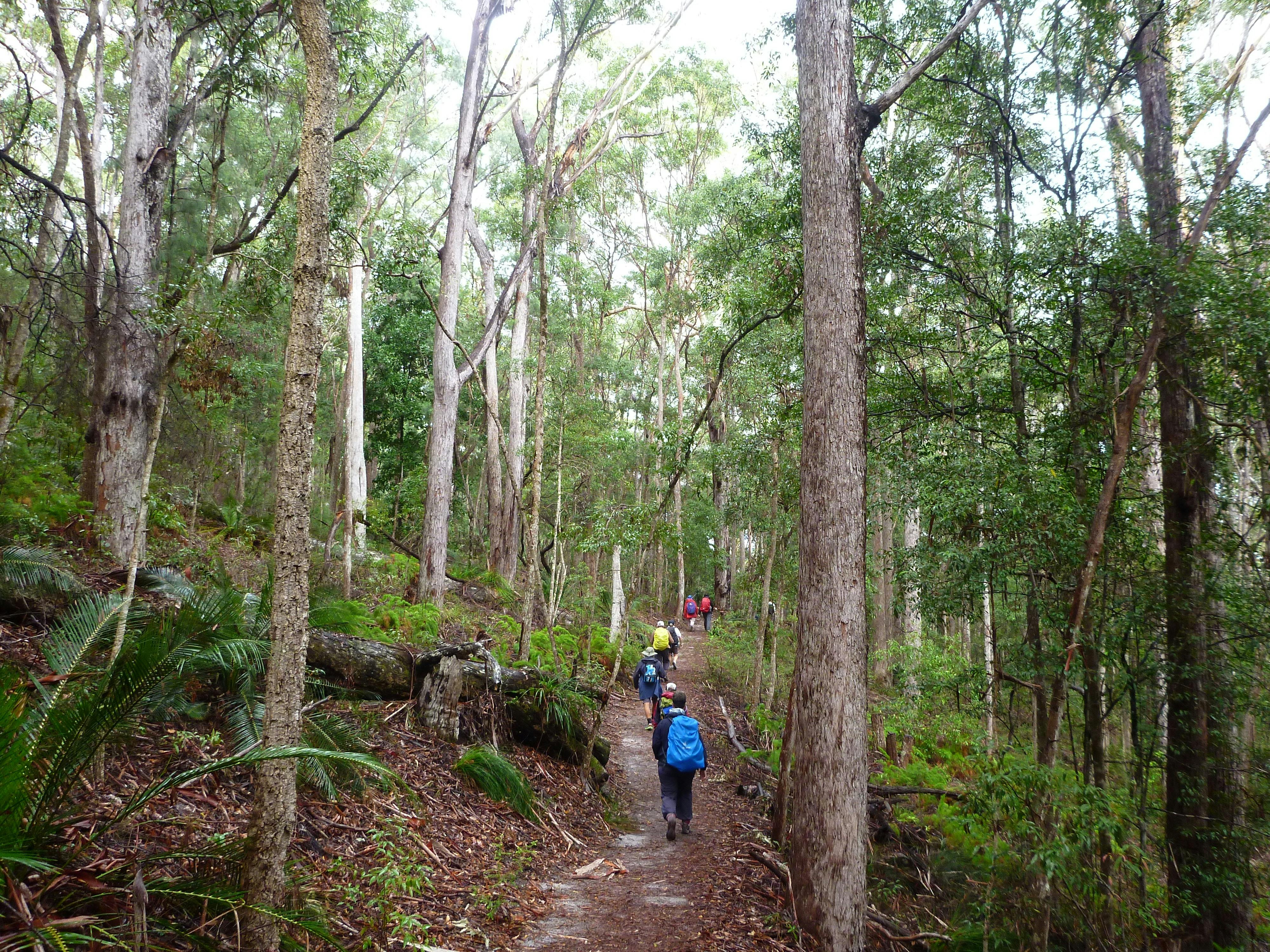 Fraser Island (Kgari) & Carnarvon Gorge - 7 Days Group Guided