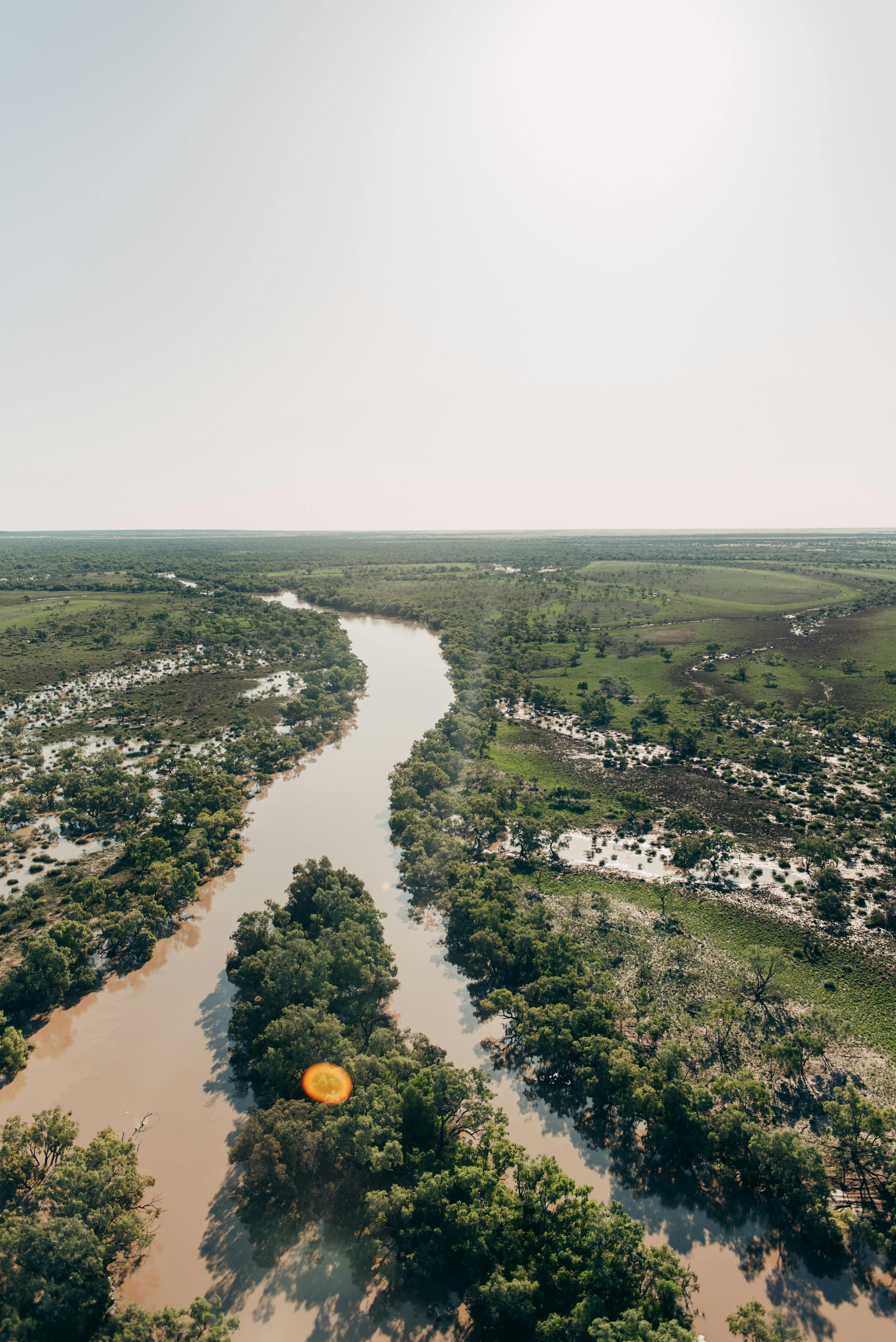 Thomson River Channel Country