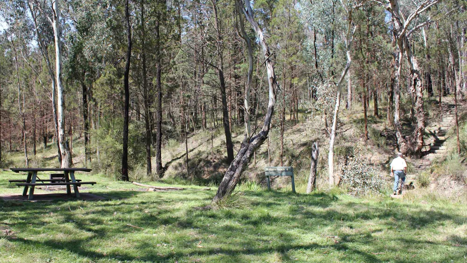 Wallaby Walking Track