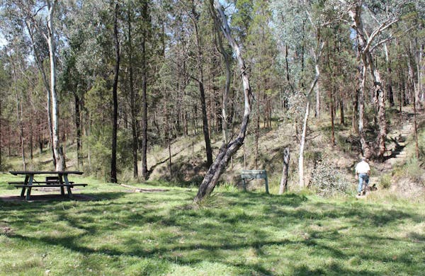 Wallaby Walking Track