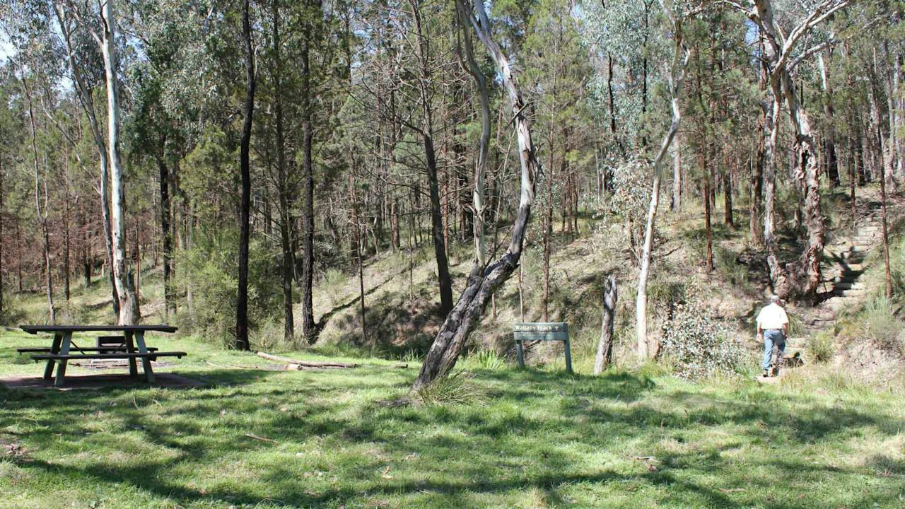 Wallaby Walking Track