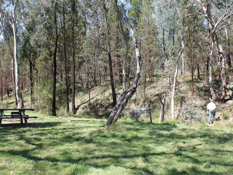 Wallaby walking track, Conimbla National Park. Photo: Claire Davis/NSW Government