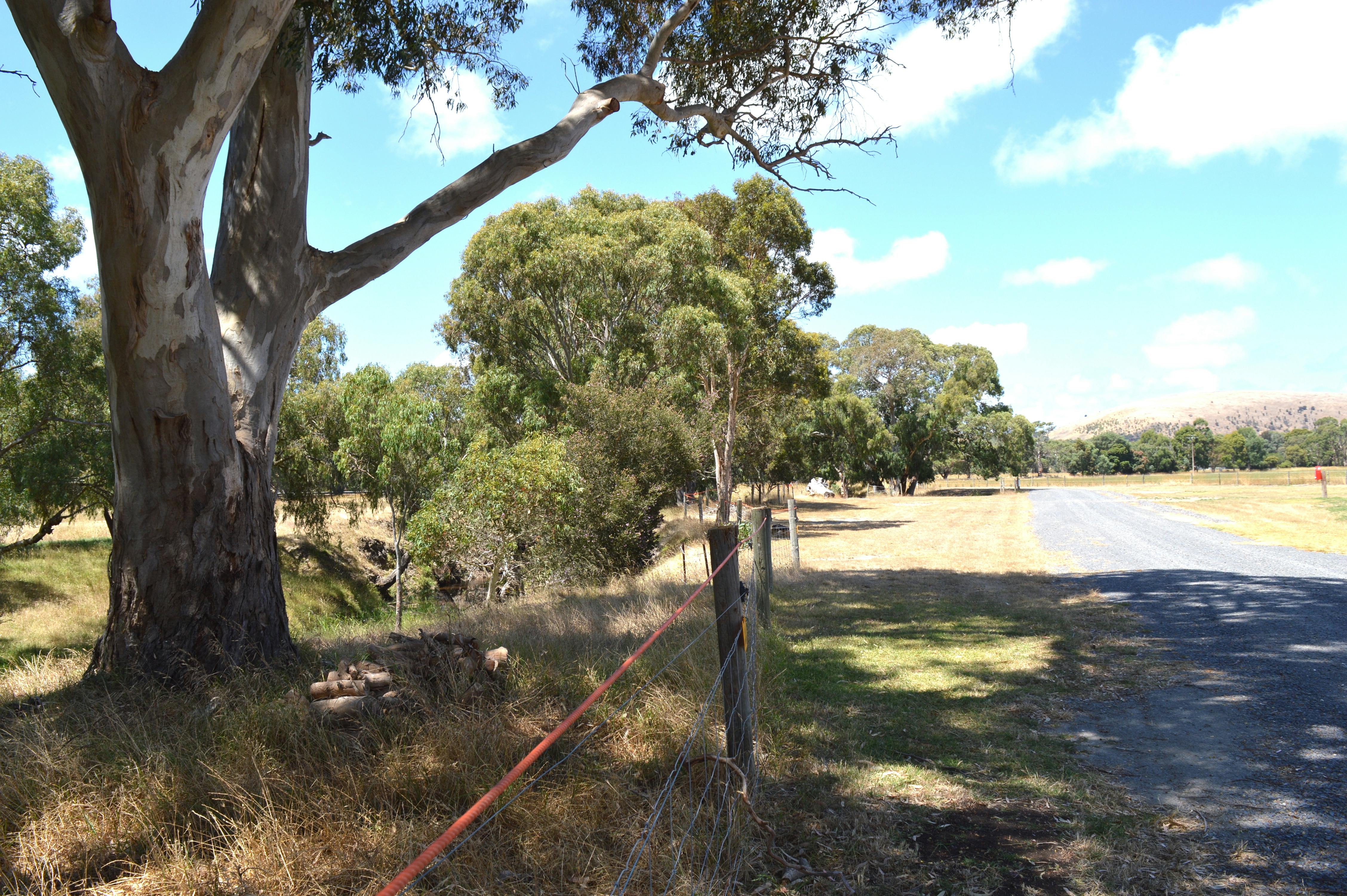 Road into Bunny Beach Farm Stay