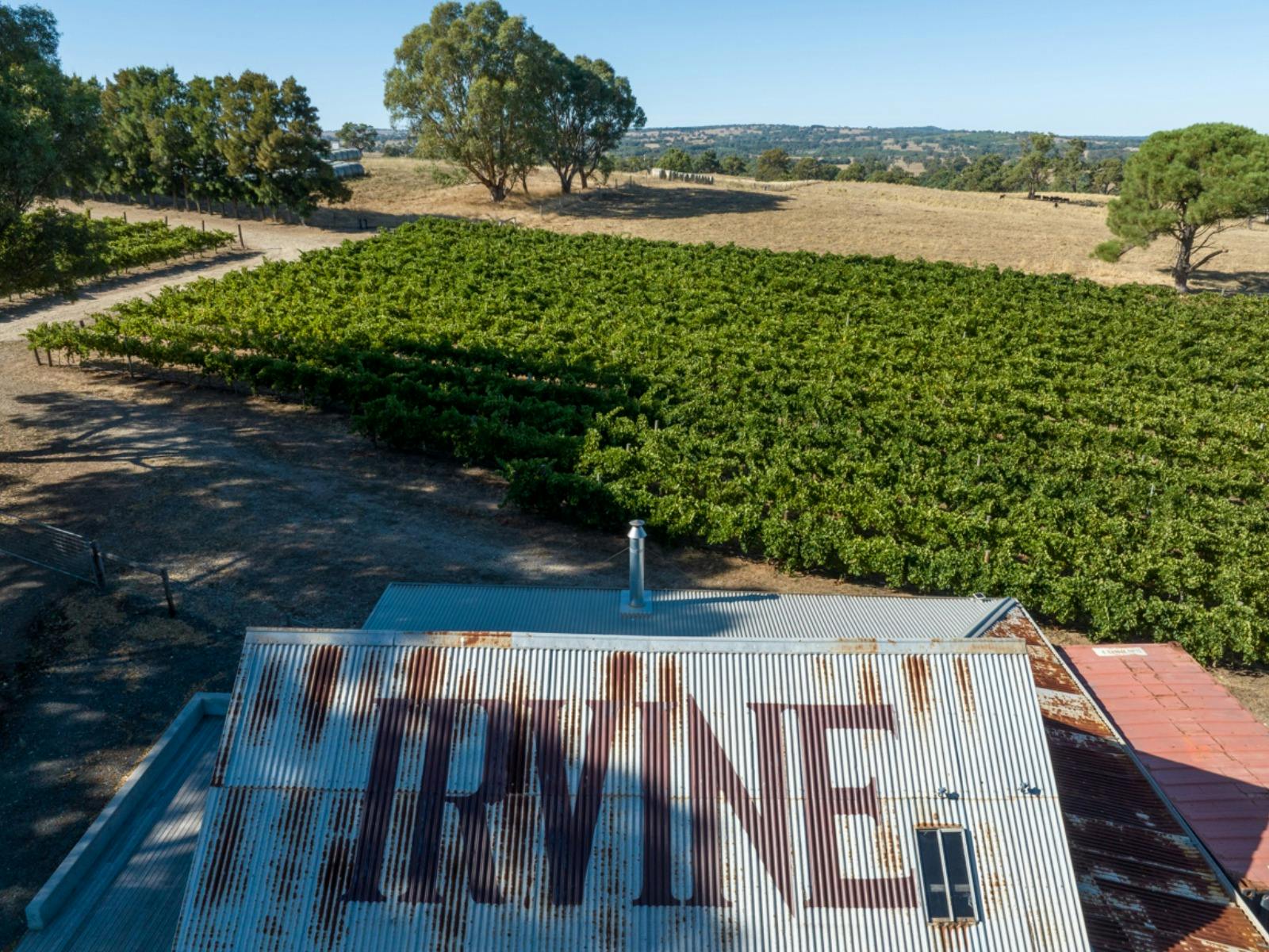 Irvine Wines: Become the Winemaker - Wine Blending Experience with Lunch