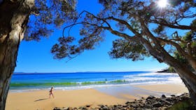 Tea Tree Bay