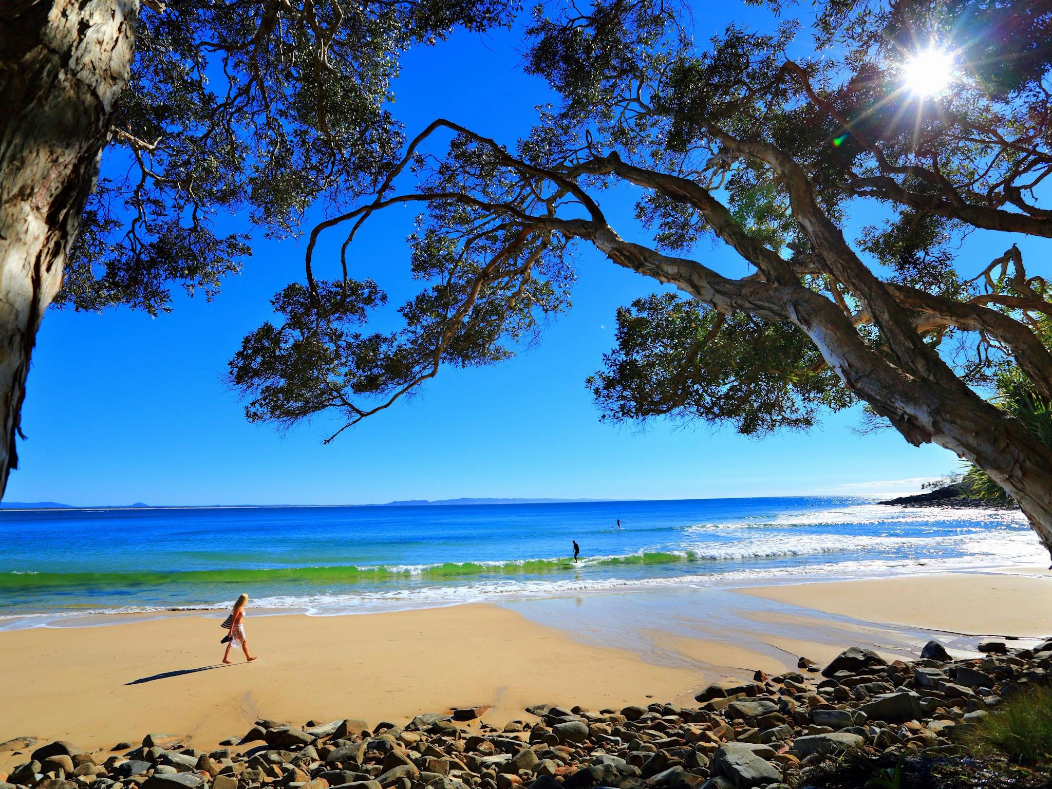 Tea Tree Bay Tea Tree Bay
