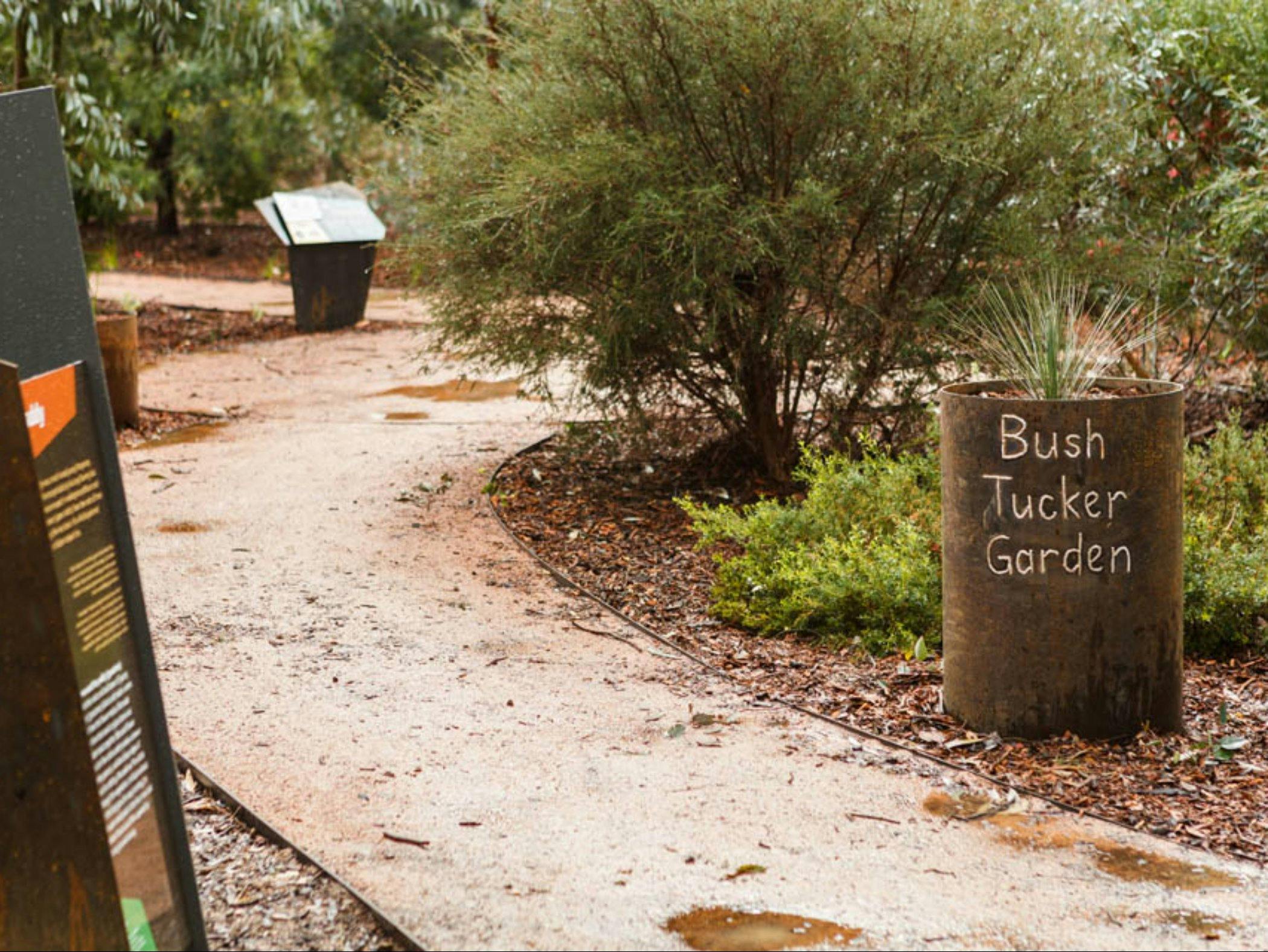 Bush Tucker Garden - Bullawah Cultural Trail