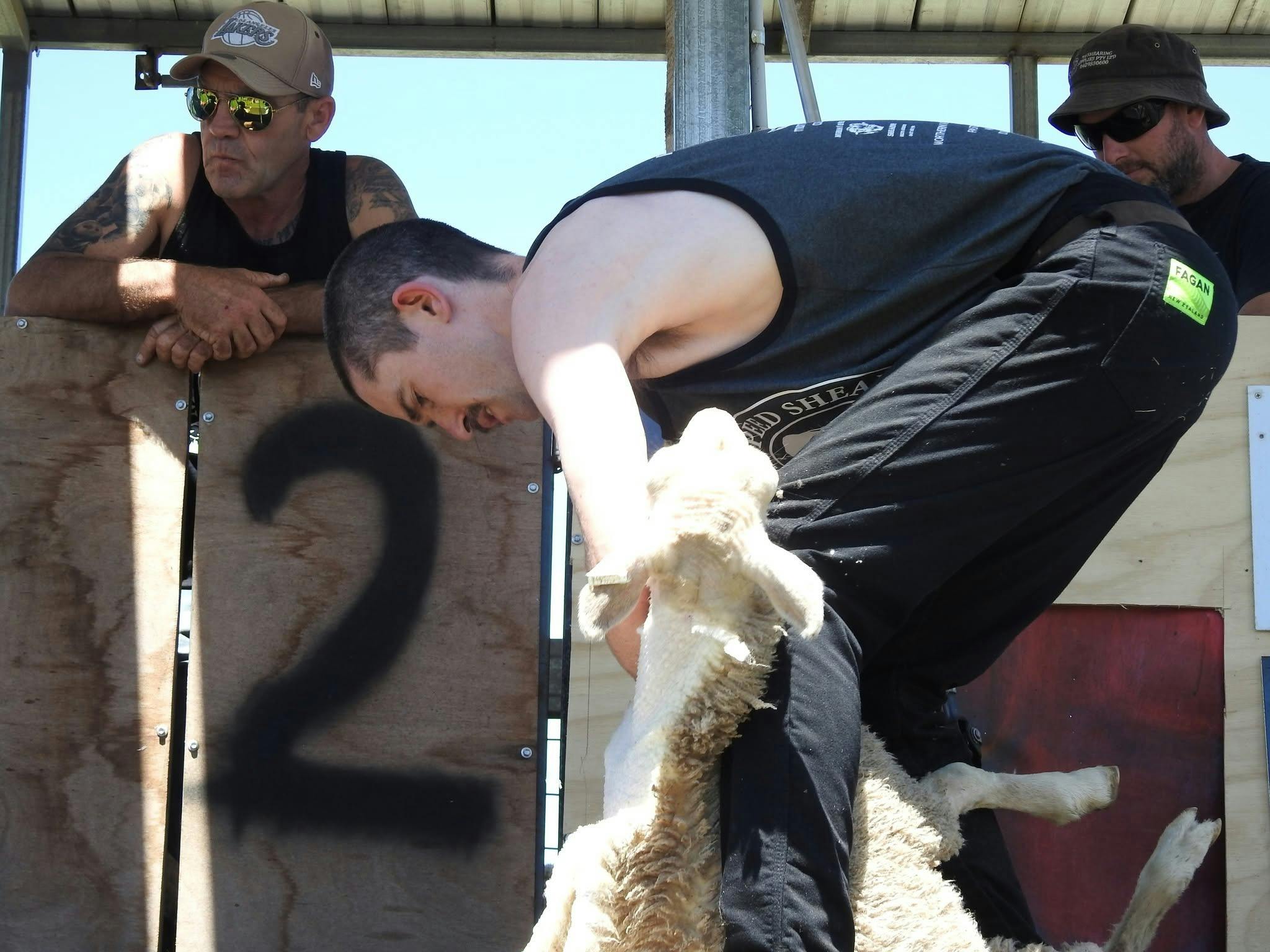 Shearing Mathoura