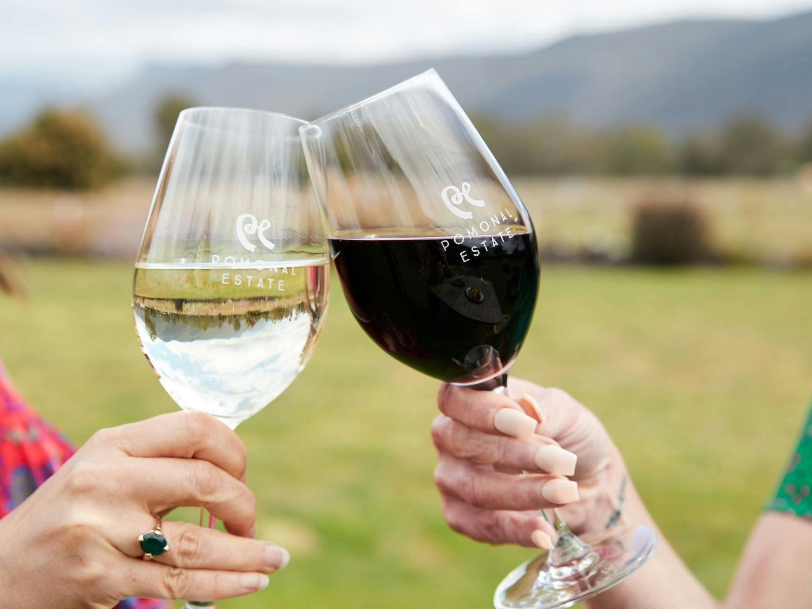 Cheers, Shiraz and Riesling with the Grampians as the backdrop.