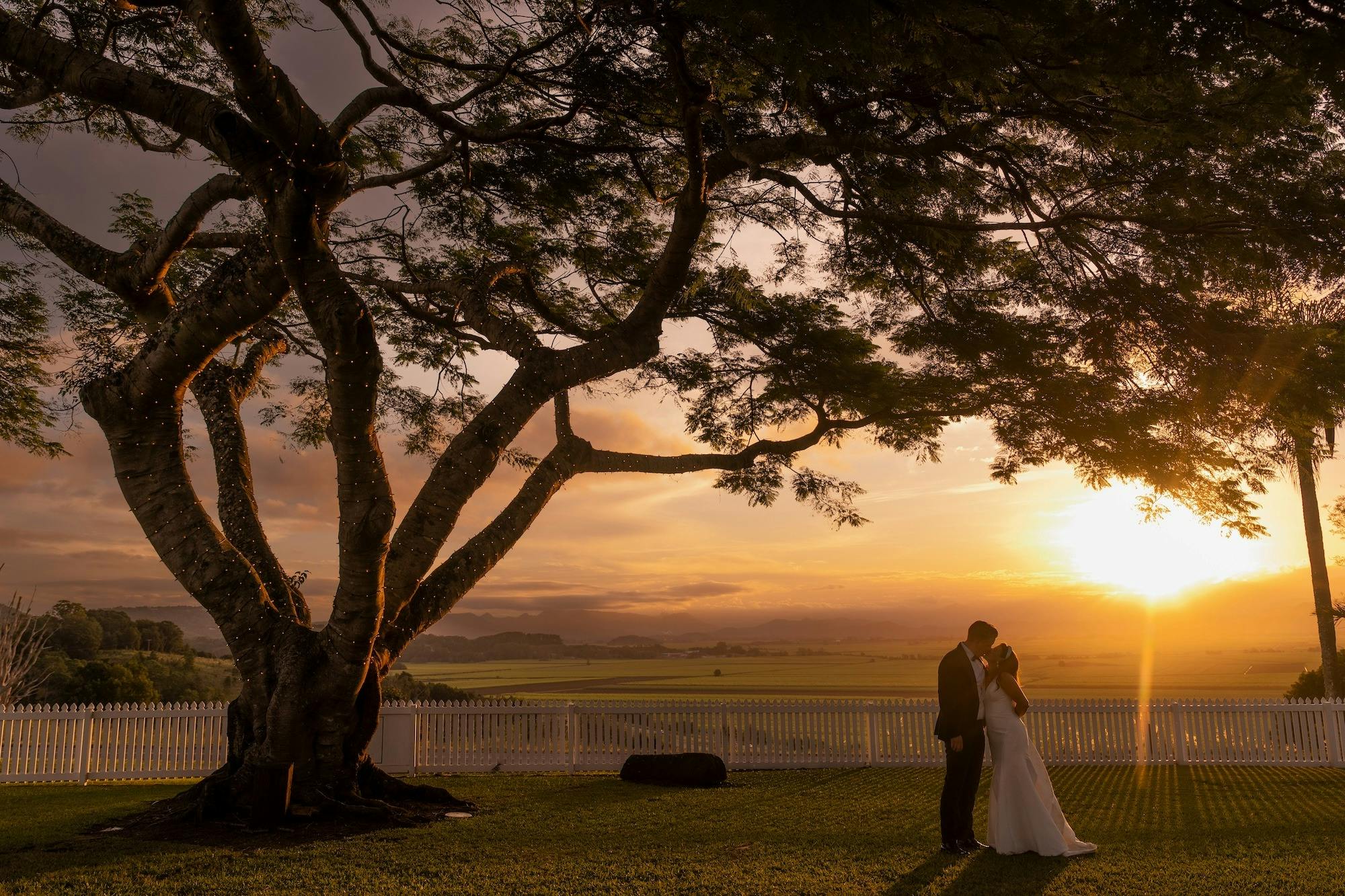bride and groom at golden sunset under a big tree