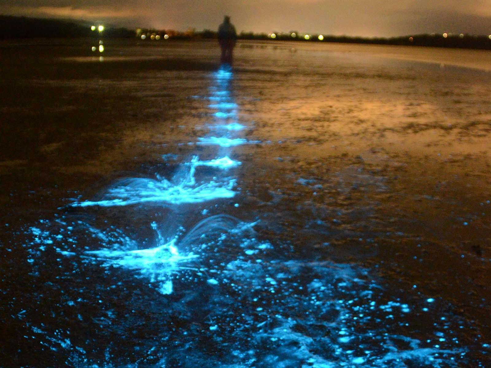 Glow Show Sea Sparkle