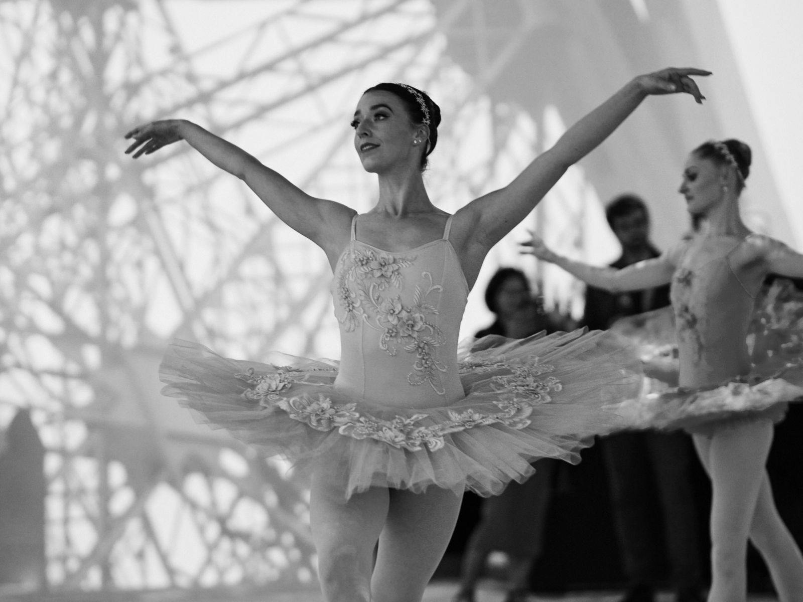 Symphony in Motion