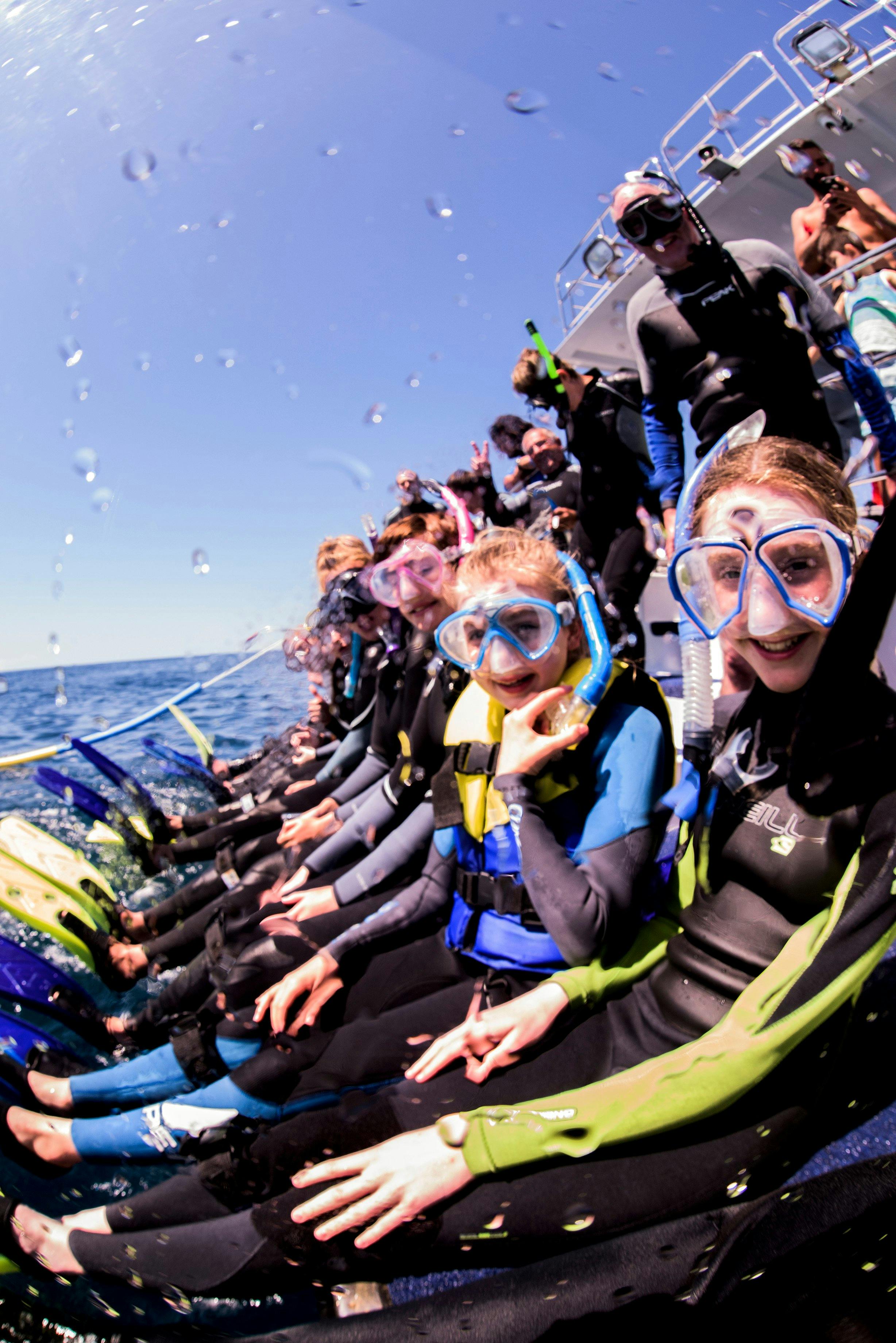 Swimmers getting ready for their encounter