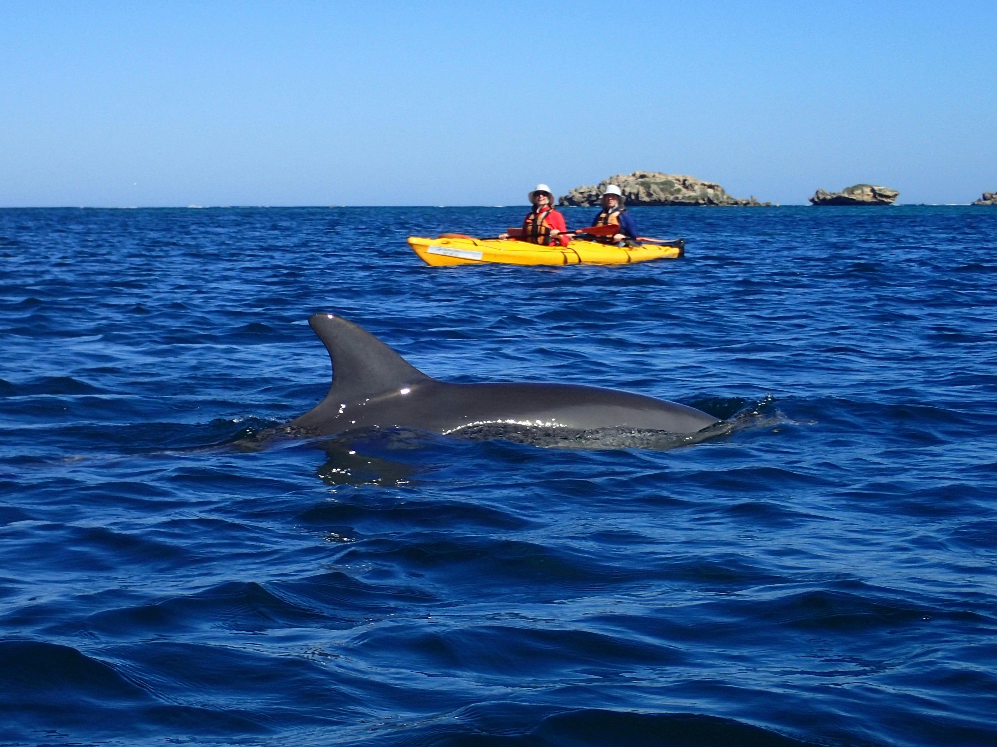 Capricorn SeaKayaking