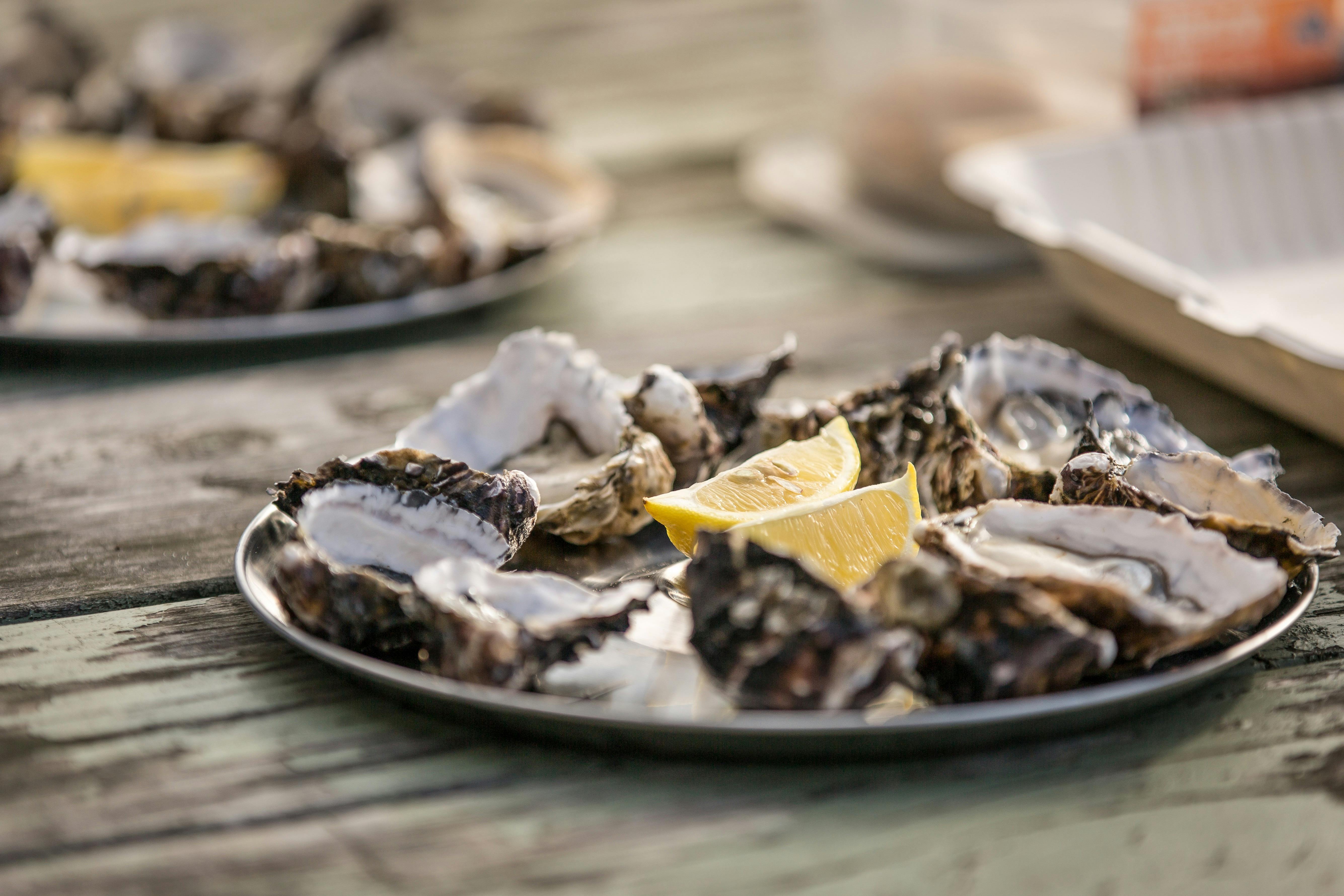 Oysters and gin tastings at Dunalley Bay Distillery