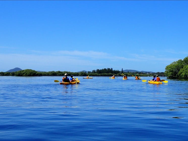 Blue skies on a guided kayak tour with Lazy Paddles