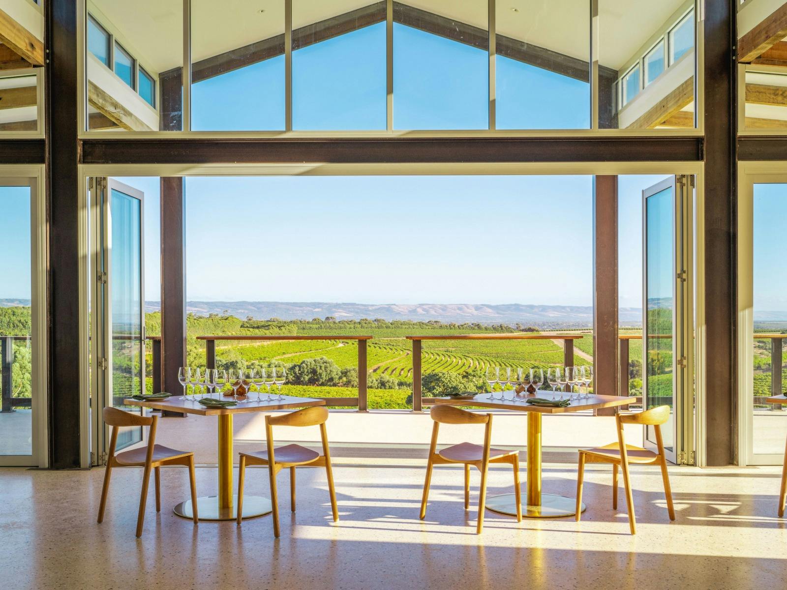 View from the Interior of the Wonder Room to the vineyards beyond