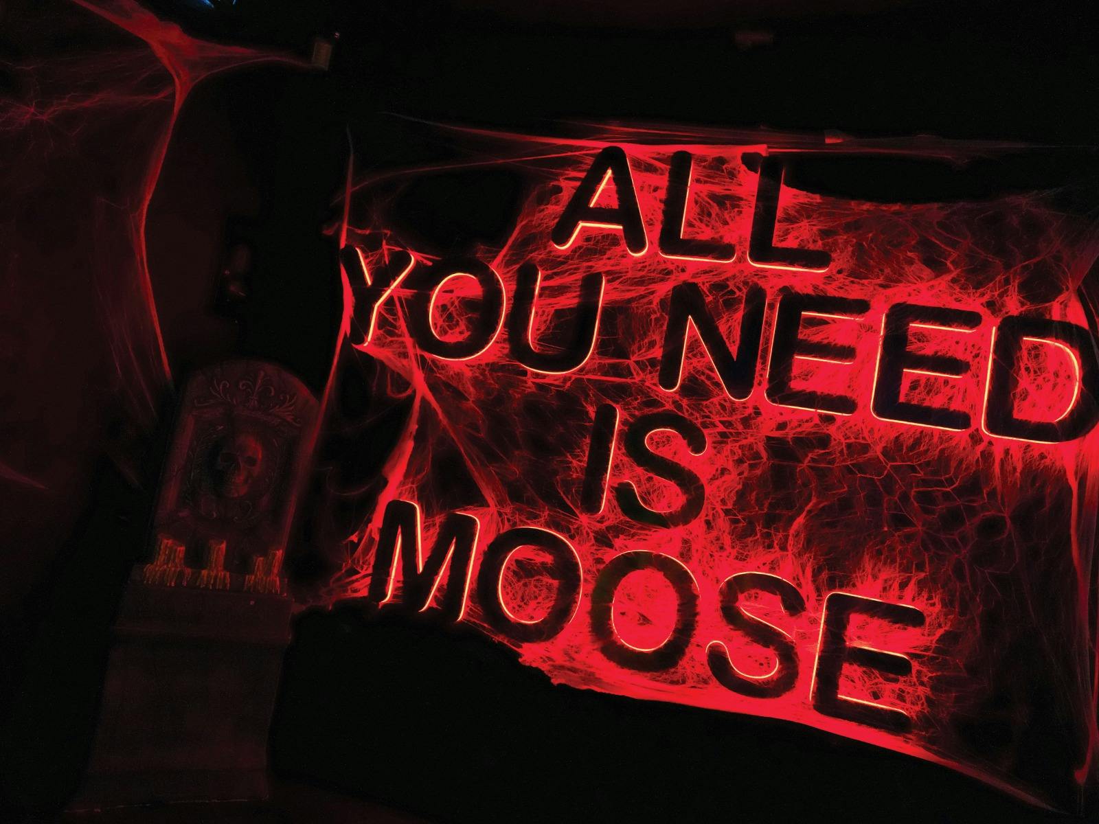 Mooseheads Canberra