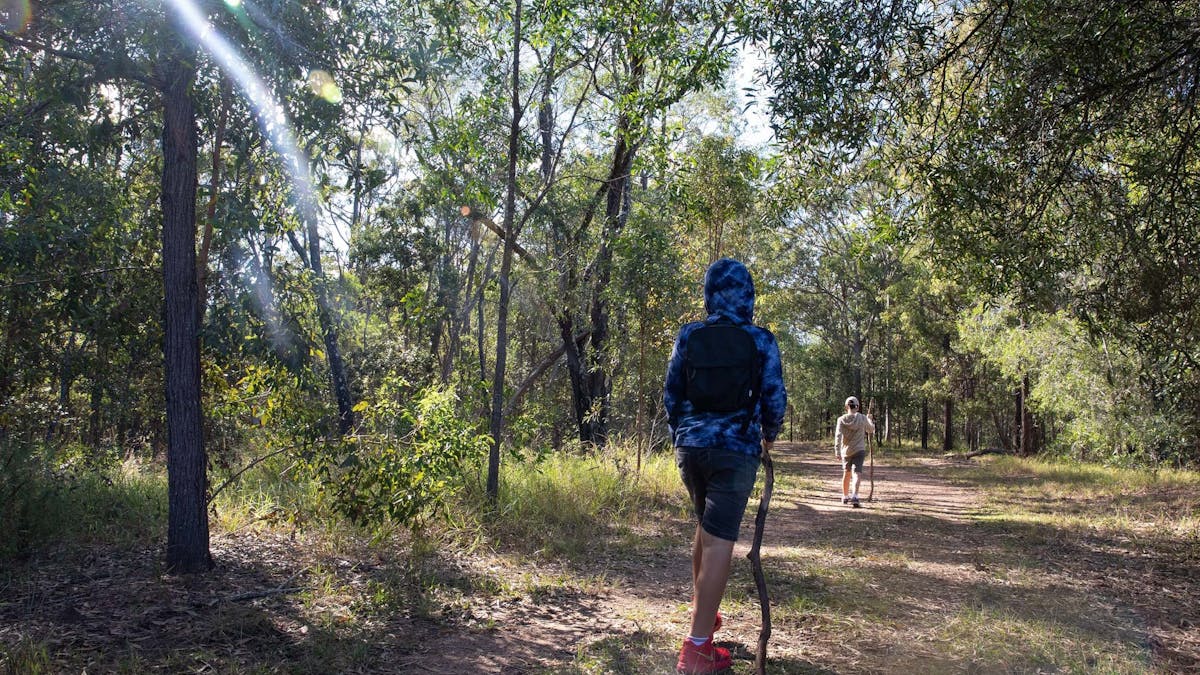 Male child hiking along walking track with sun rays peeping through the trees