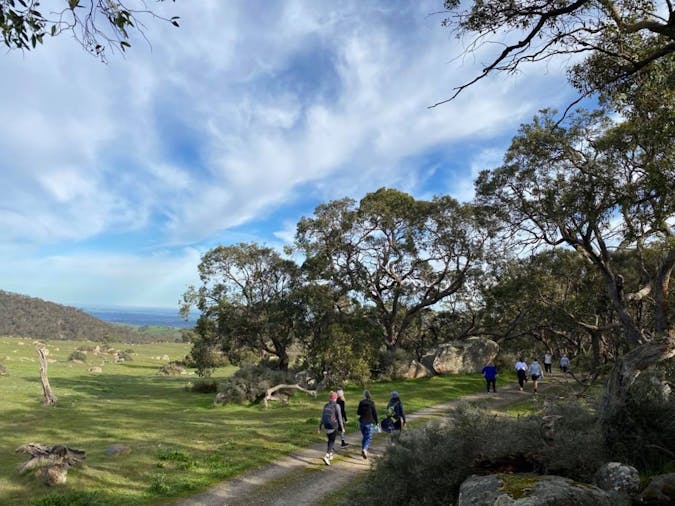 Barossa Wellness Experiences