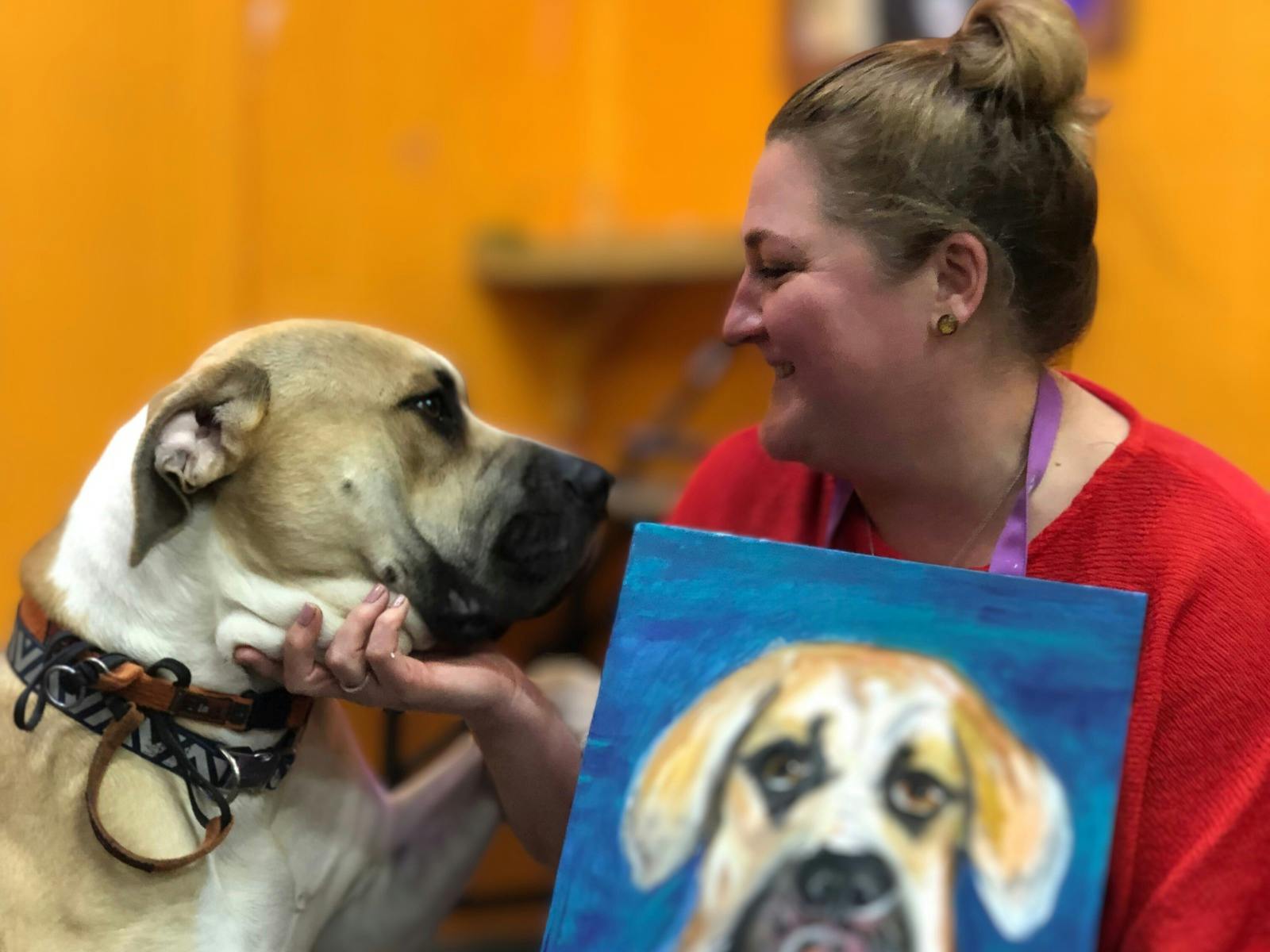 Dya Australia & Paint for Fun Creative Studios