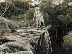 Mt Bushwalker