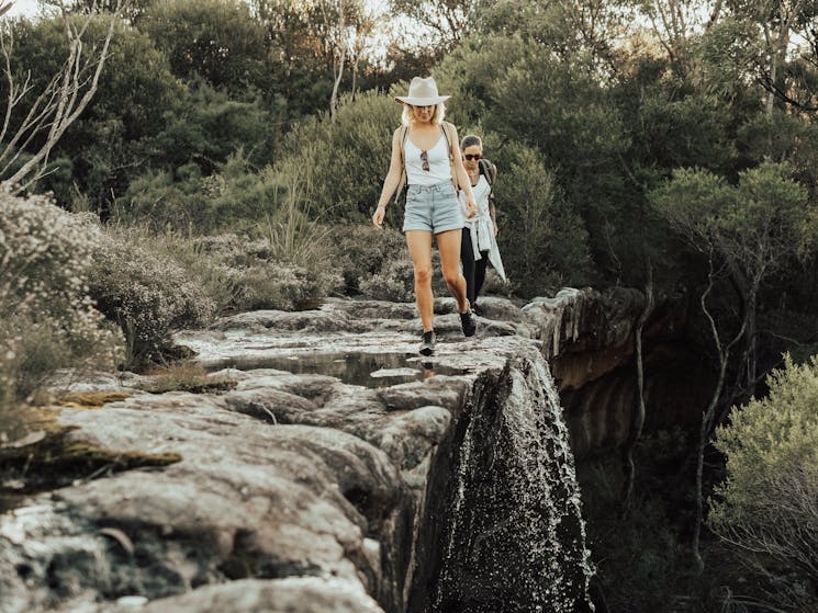 Mt Bushwalker