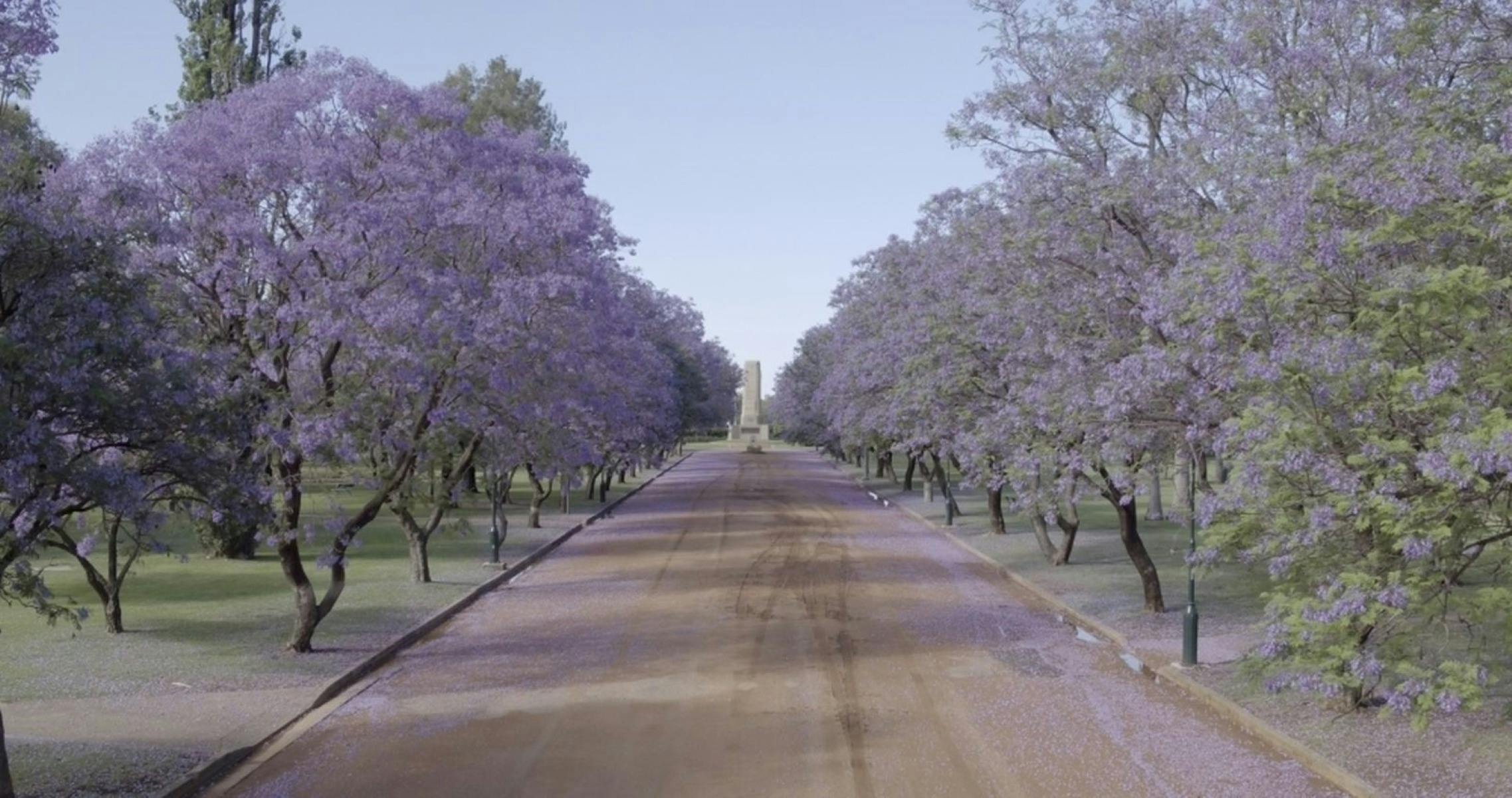 빅토리아 파크 더보