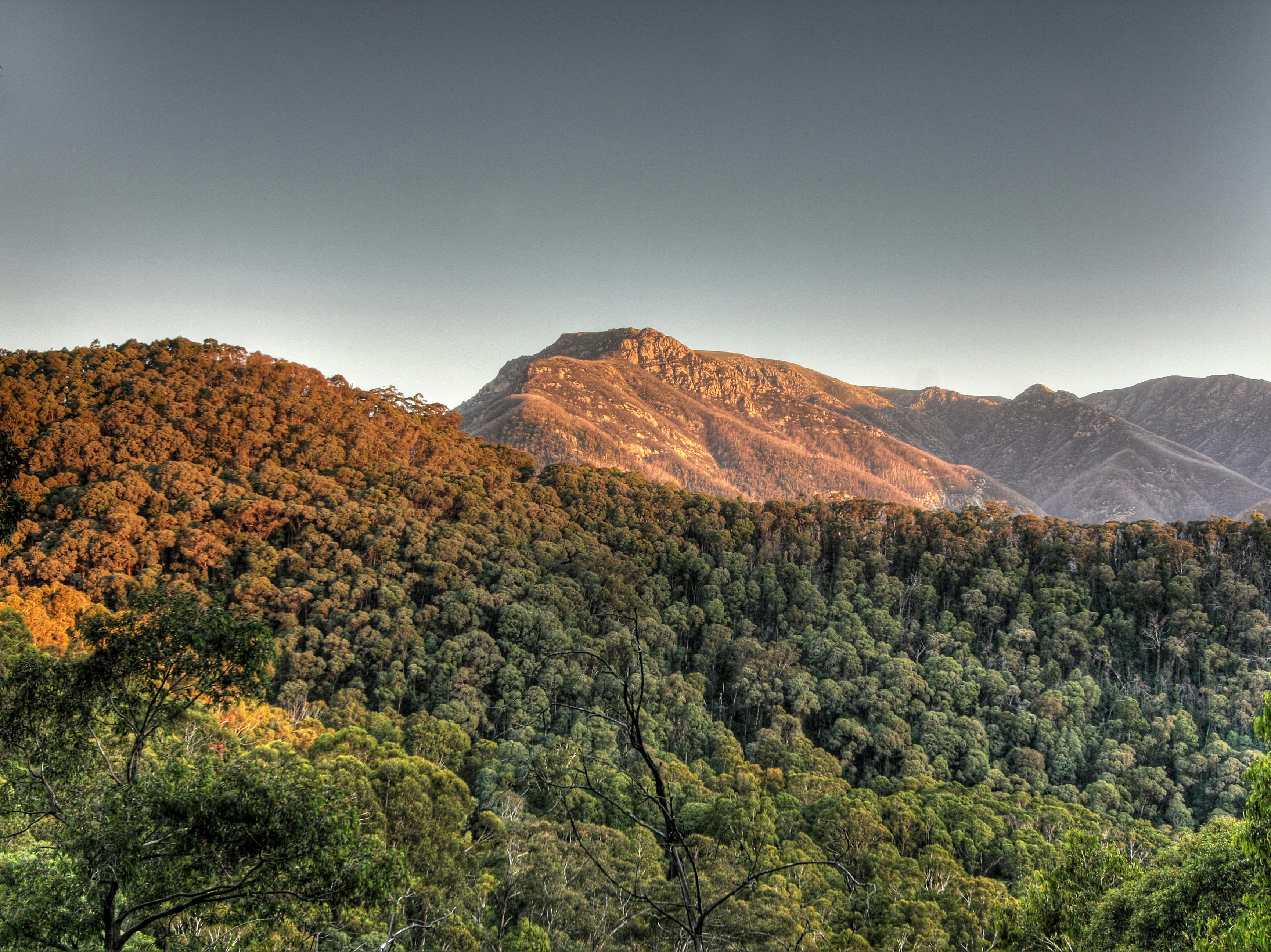 walking on Snowy mts group guided