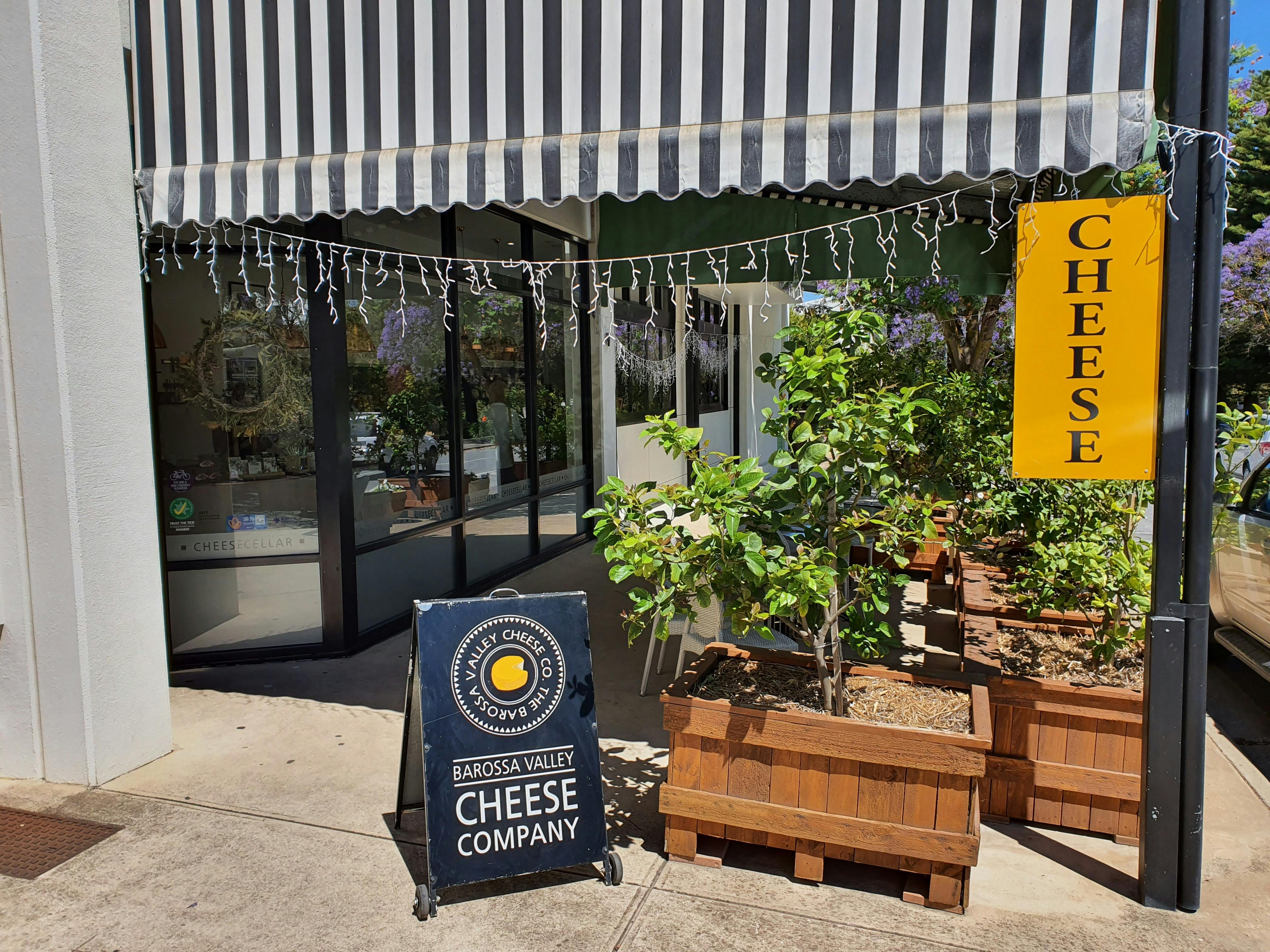 Cheese Cellar Door Tastings - Barossa Valley