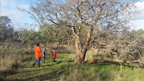 Visitors walking around the Bandicoot Wildlife Walk