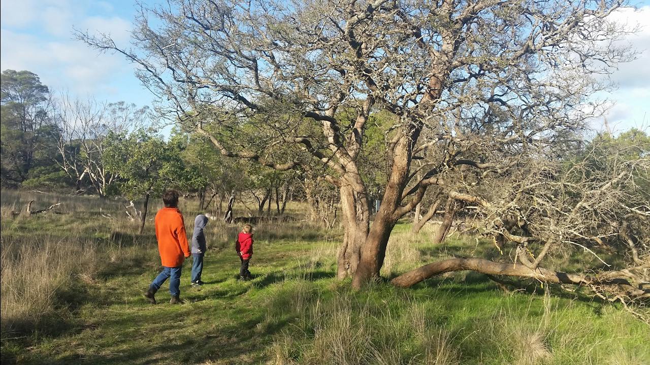 Visitors walking around the Bandicoot Wildlife Walk