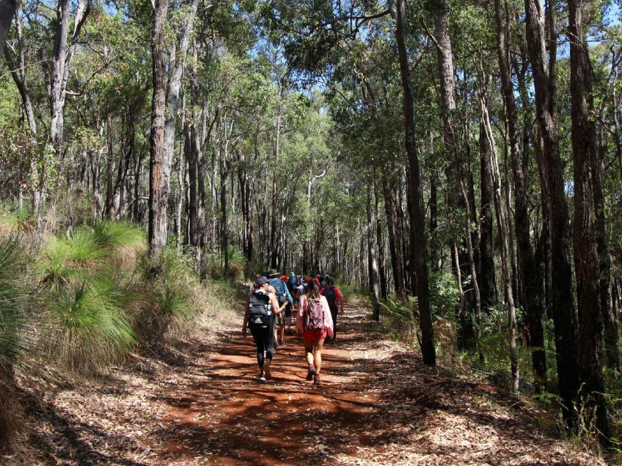 The Hike Collective, Parkerville, Western Australia
