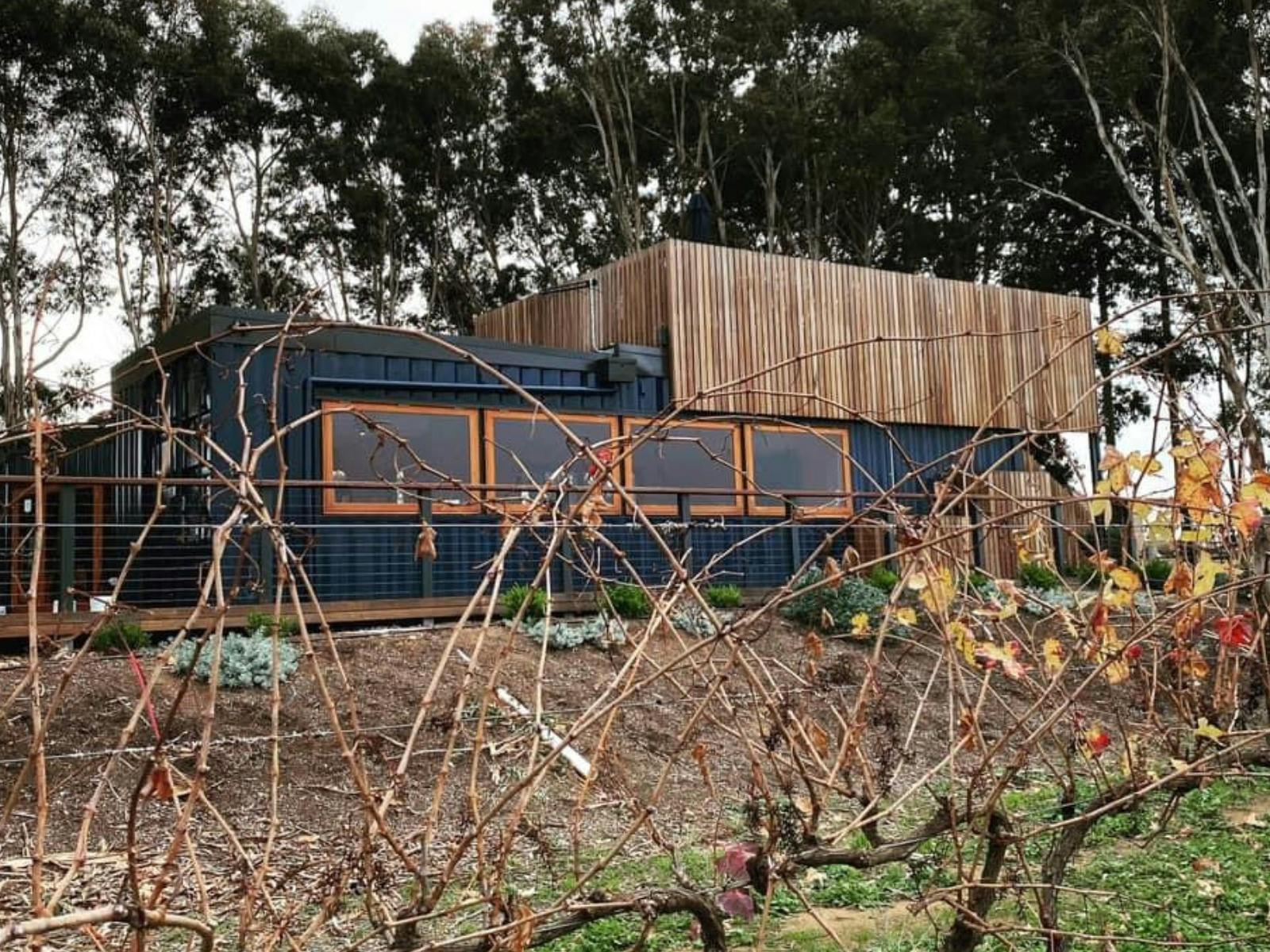 Kimbolton vineyard, winter time, Kimbolton wines