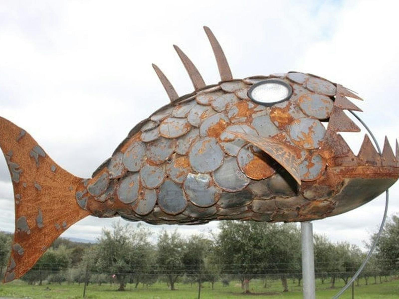 The Angler Fish