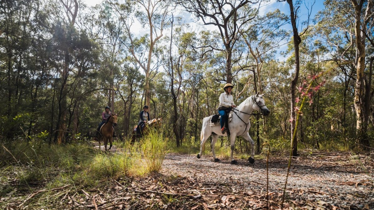 Three horse riders riding through Bayview Conservation Area parklands, Redlands Coast