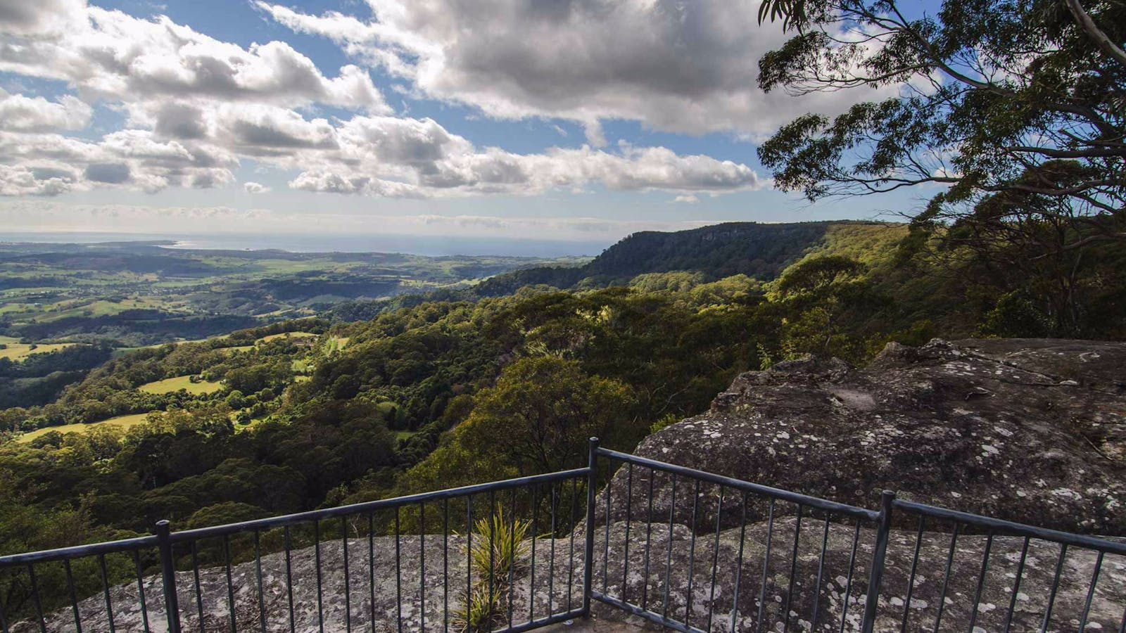 Illawarra Lookout Walking Track