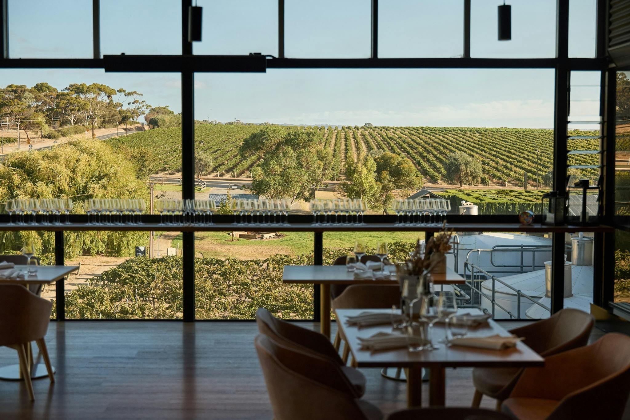 Maxwell Wines restaurant overviewing vineyards