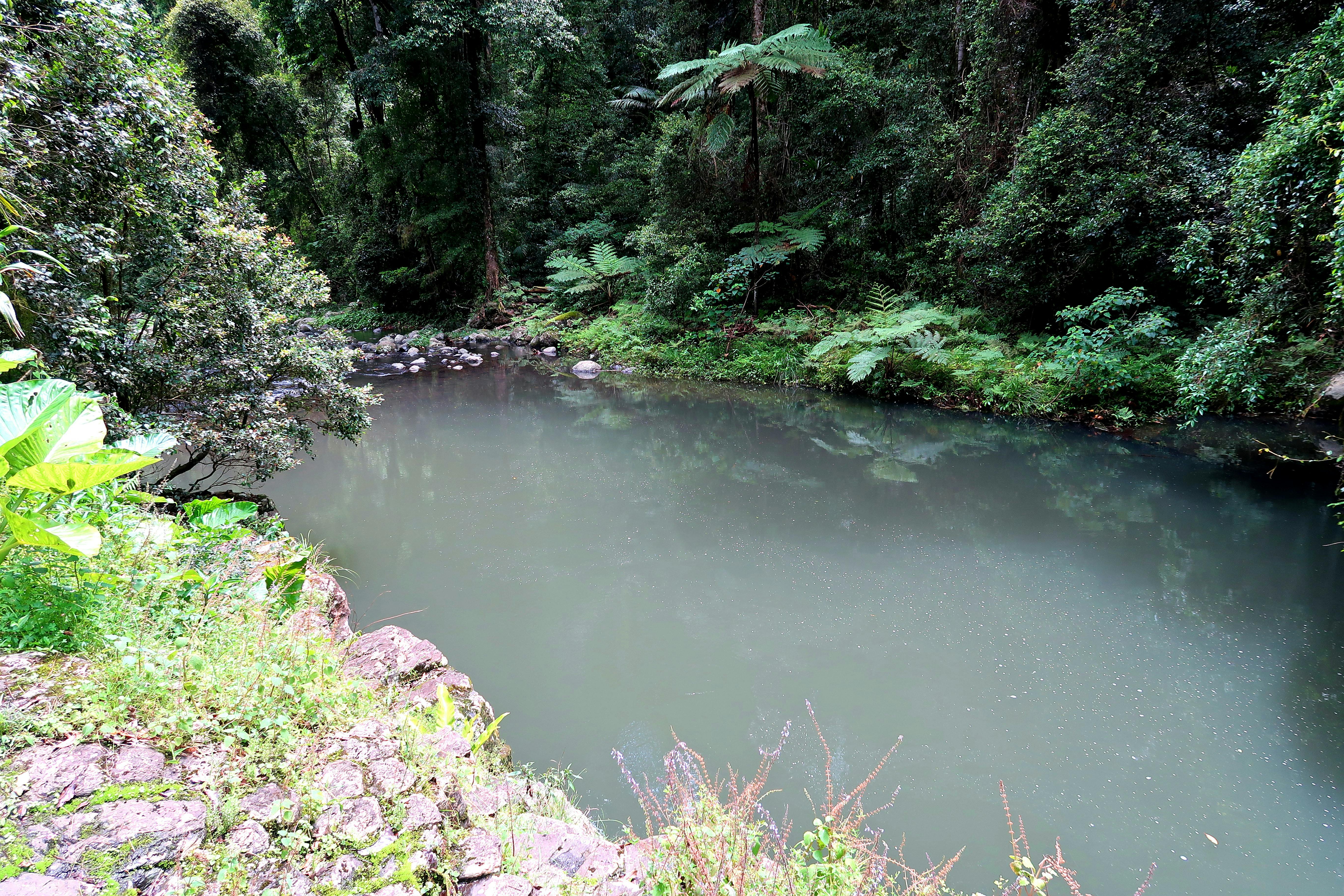 West Canungra River