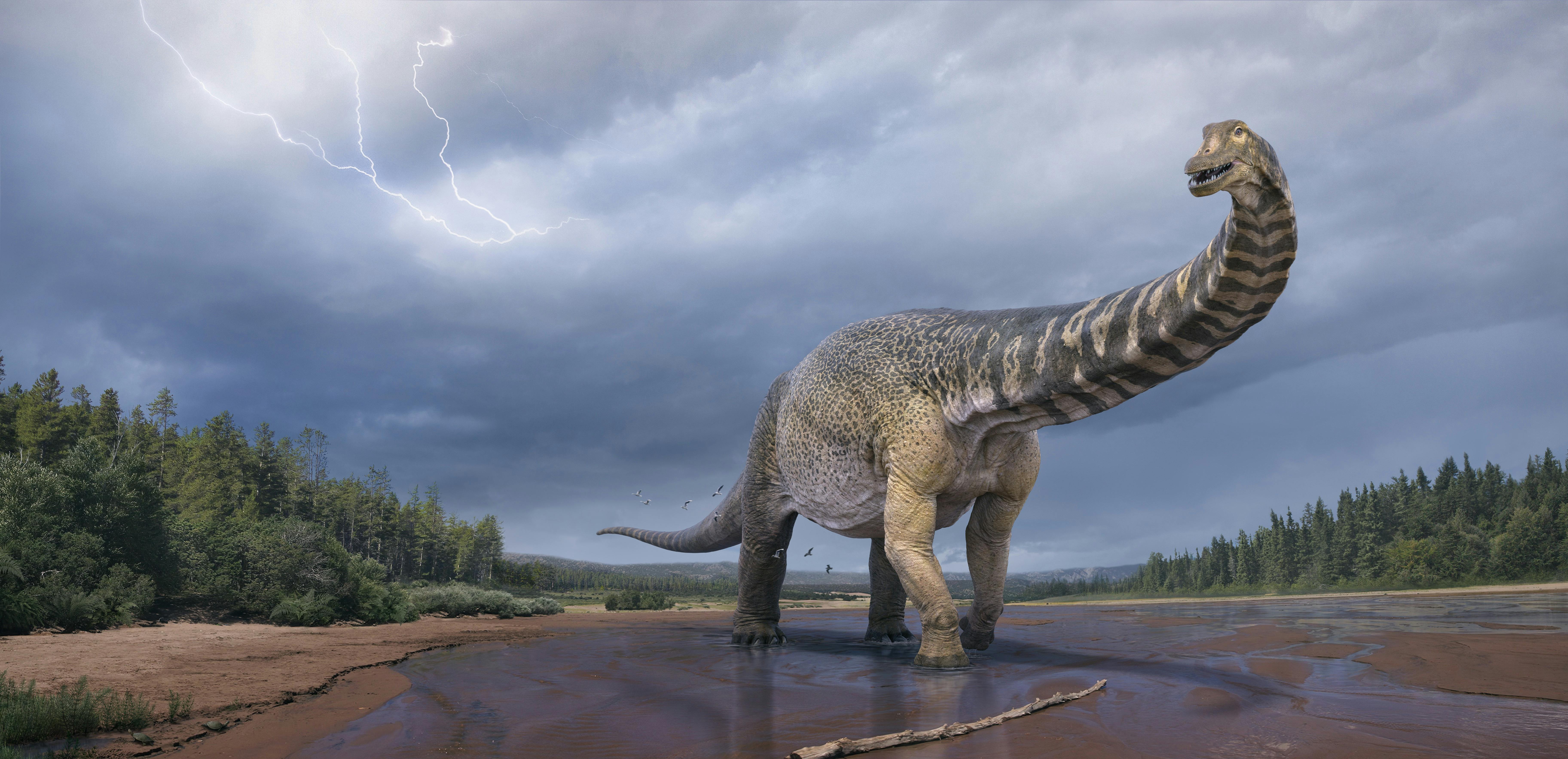 Dinosaur at Eromanga Natural History Museum