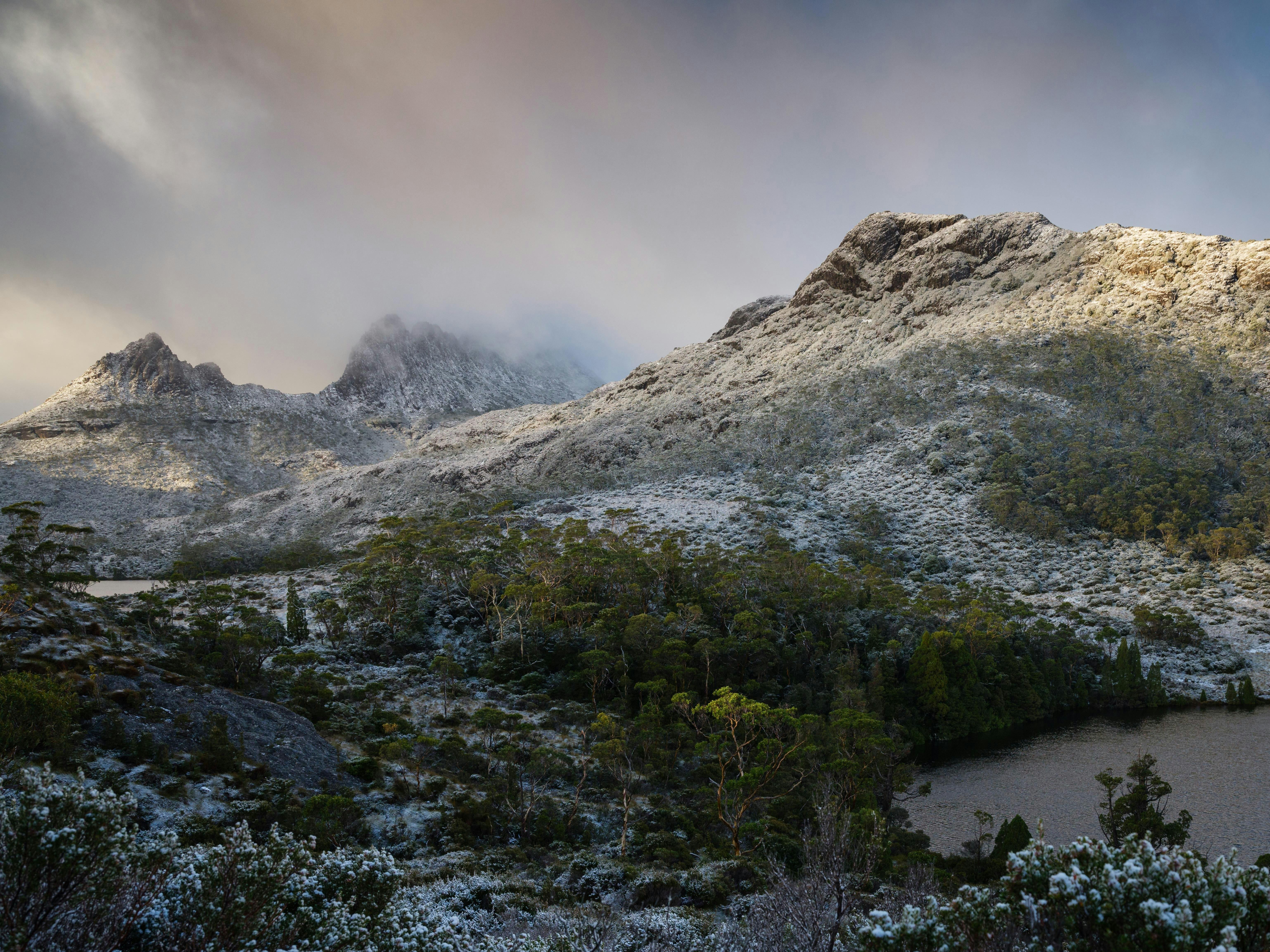 Tasmania, Cradle Mt