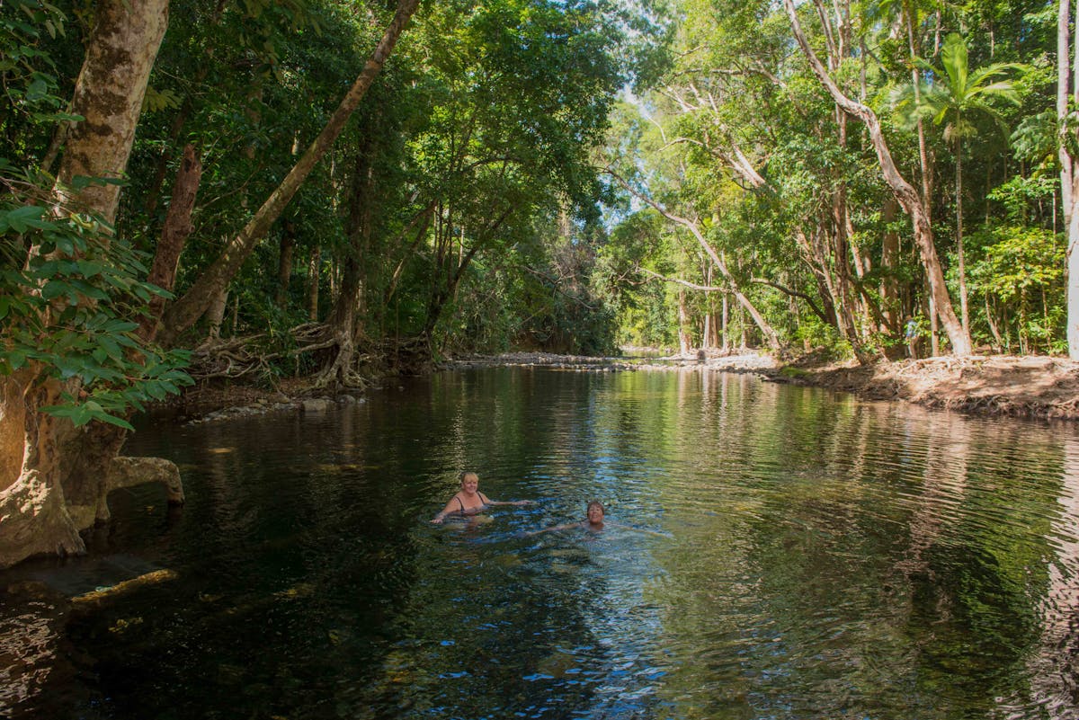 Enjoy a refreshing swim in Emmagen Creek, 7km up the Bloomfield track