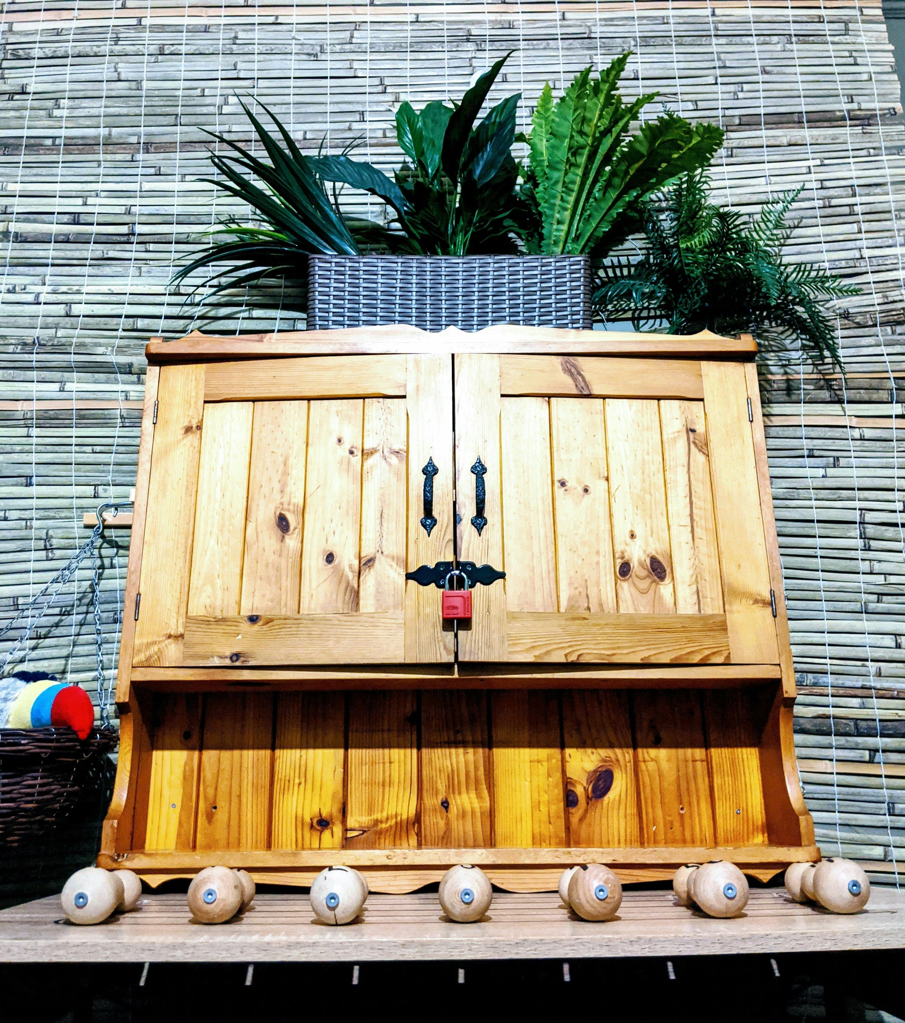 Polished pine double door cupboard framed by bamboo plants and a toucan