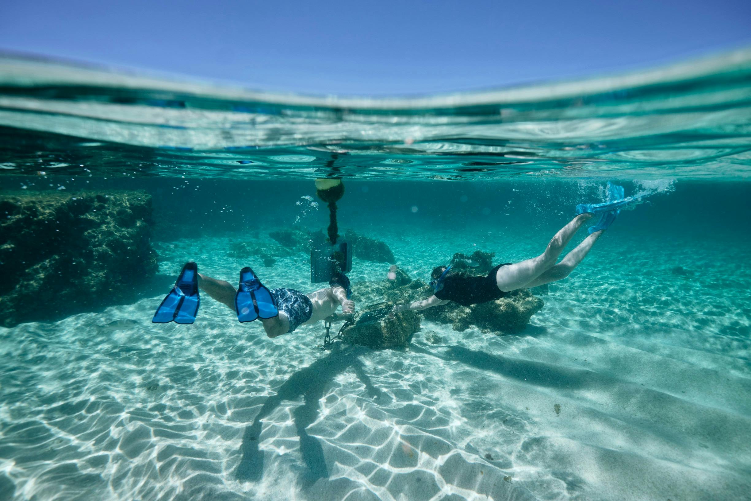 Snorkeling at Little Salmon Bay