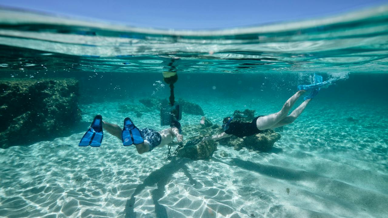 Snorkeling at Little Salmon Bay