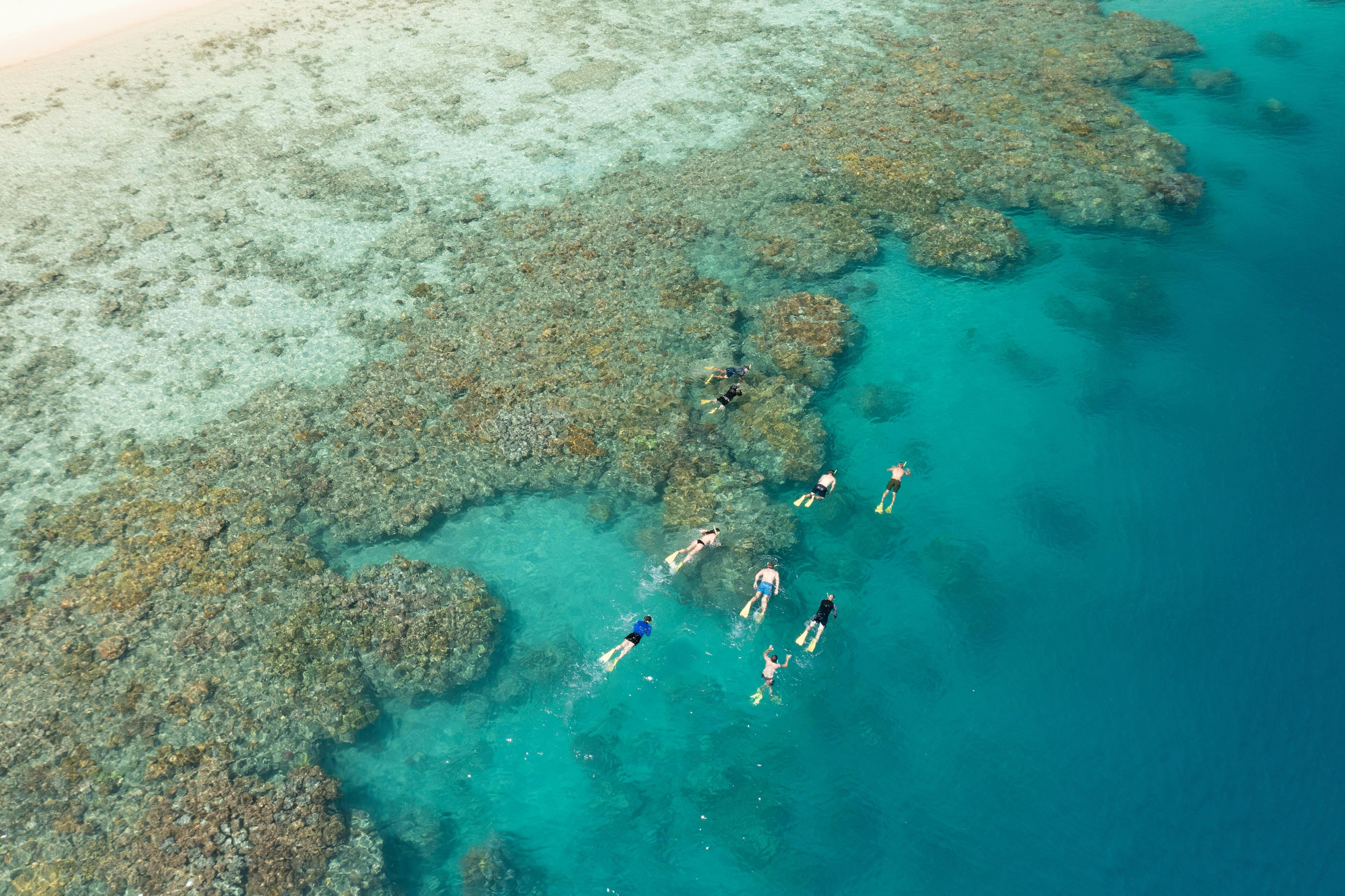 Snorkeling in the Whitsundays