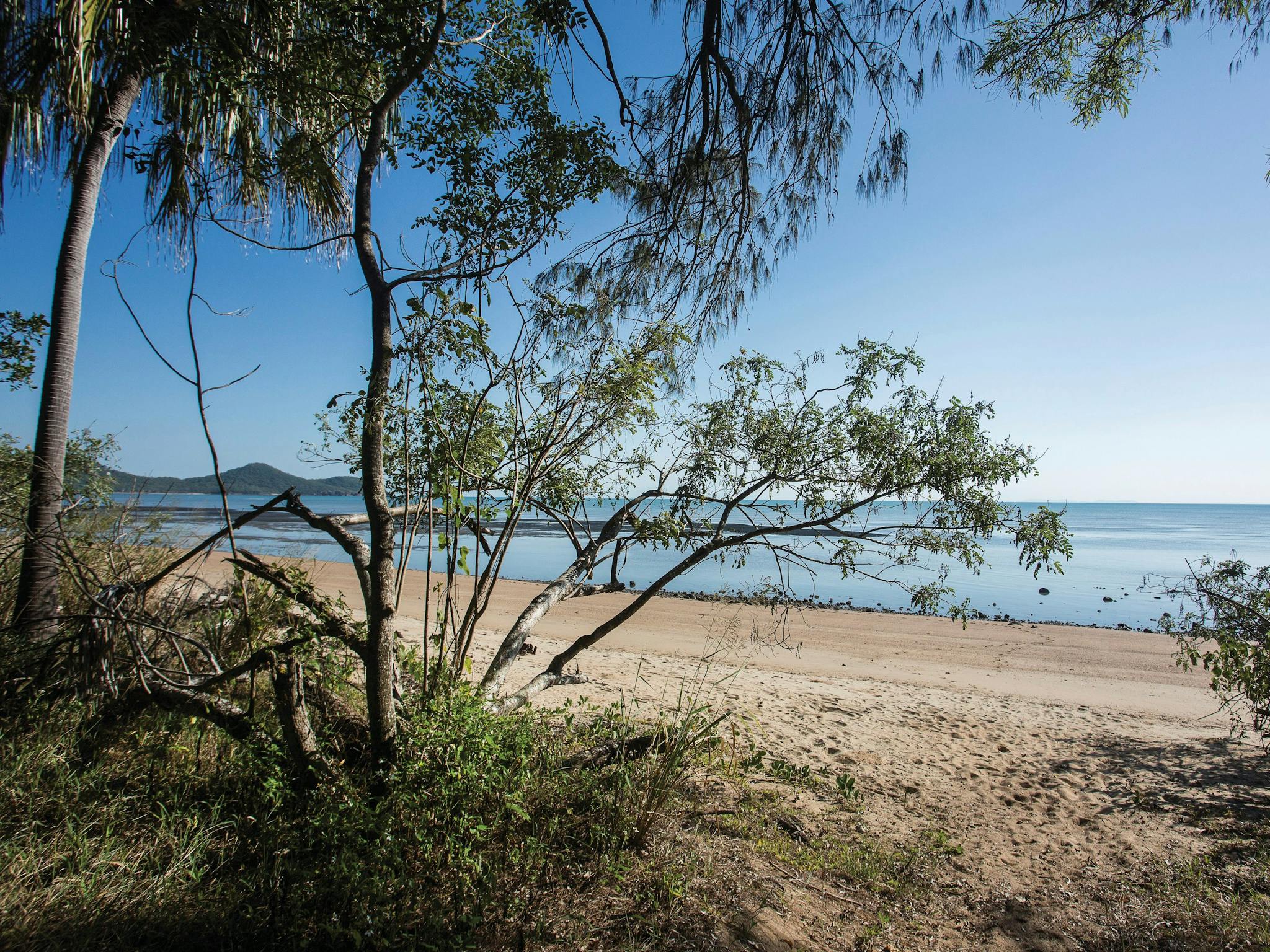 Beachside camping area
