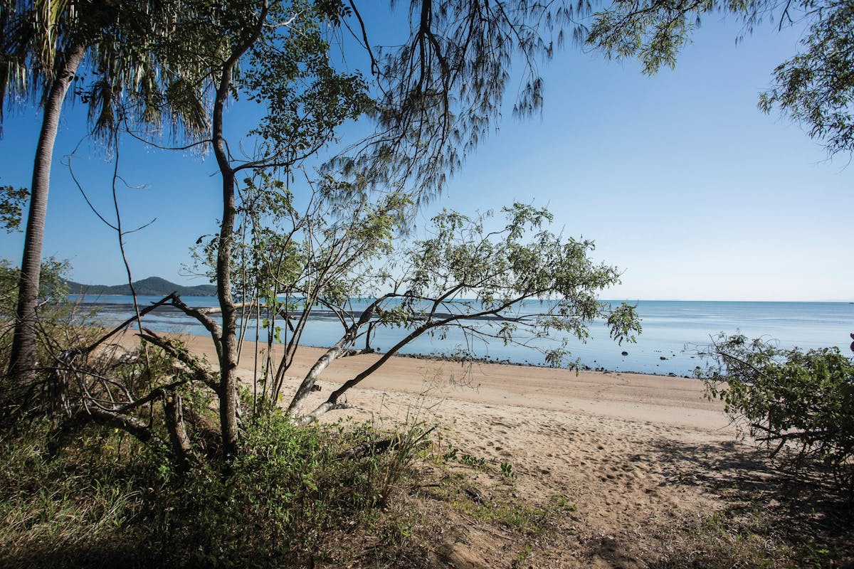 Beachside camping area