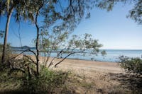 Beachside camping area