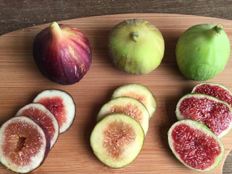Image of the event 'Fig Festival Brunch at Di Lusso Estate'